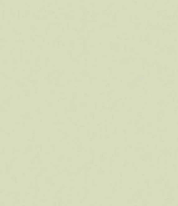 Tapete 6735-20 81961 Novamur